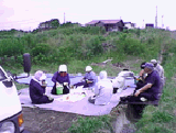 井寒台浜の様子