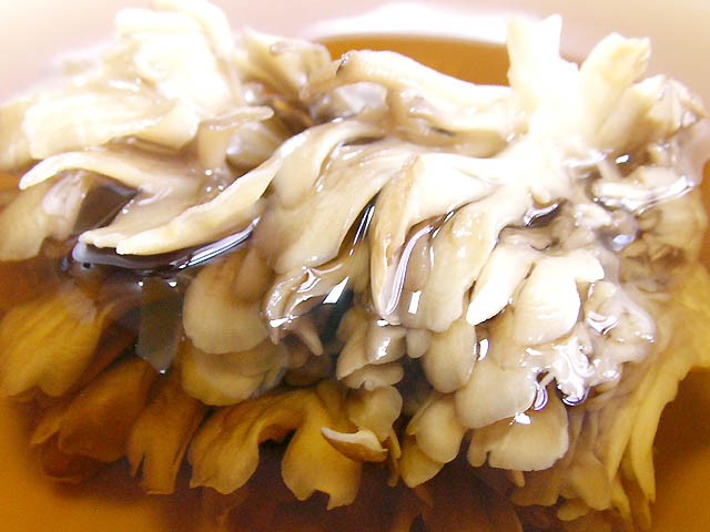 乾燥 舞茸(まいたけ)島根県産